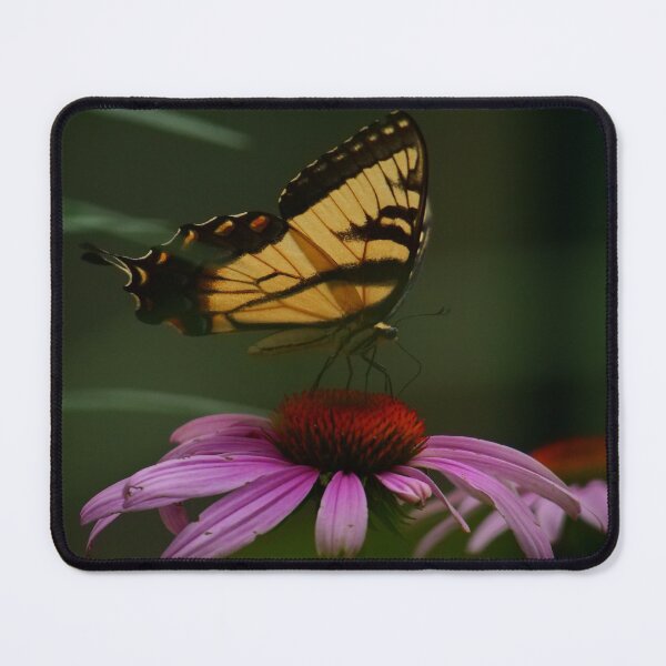Item preview, A stunning Eastern Tiger Swallowtail alights on the top of an echinacea flower. designed and sold by South 500 Photography.