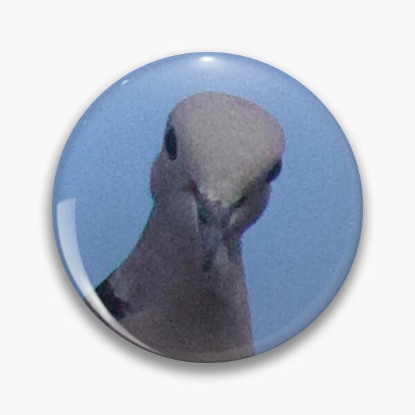 Item preview,  Mourning Dove Posing on Rooftop  designed and sold by WilesNailsPower.