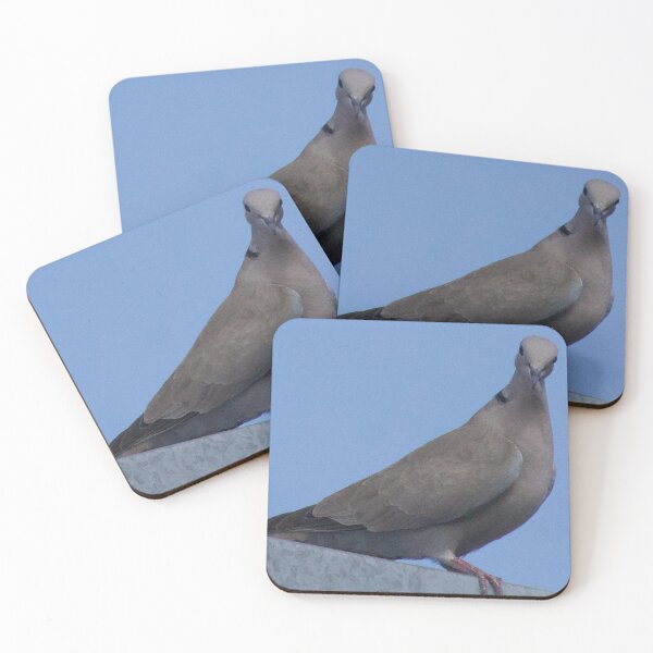 Item preview,  Mourning Dove Posing on Rooftop  designed and sold by WilesNailsPower.