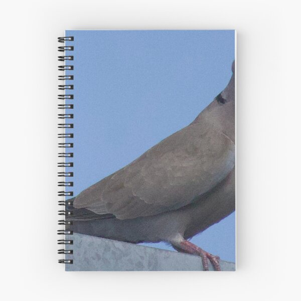Item preview,  Mourning Dove Posing on Rooftop  designed and sold by WilesNailsPower.