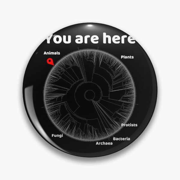 Item preview, You Are Here Phylogenetic Tree of Life Biology Graphic White Text designed and sold by MathWare MathClips.