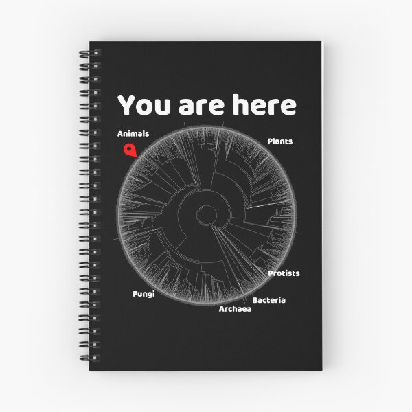 Item preview, You Are Here Phylogenetic Tree of Life Biology Graphic White Text designed and sold by MathWare MathClips.