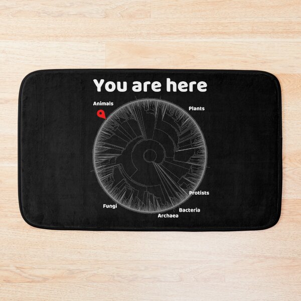 Item preview, You Are Here Phylogenetic Tree of Life Biology Graphic White Text designed and sold by MathWare MathClips.