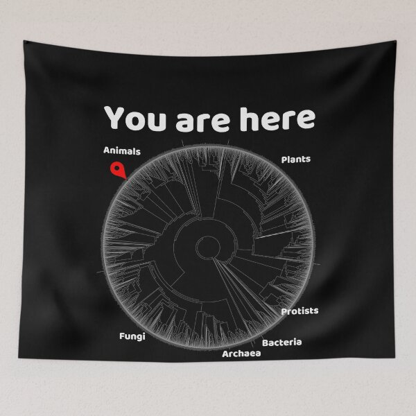 Item preview, You Are Here Phylogenetic Tree of Life Biology Graphic White Text designed and sold by MathWare MathClips.