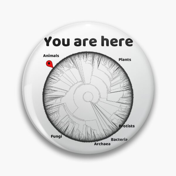 Item preview, Copy of You Are Here Phylogenetic Tree of Life Biology Graphic Black Text designed and sold by MathWare MathClips.