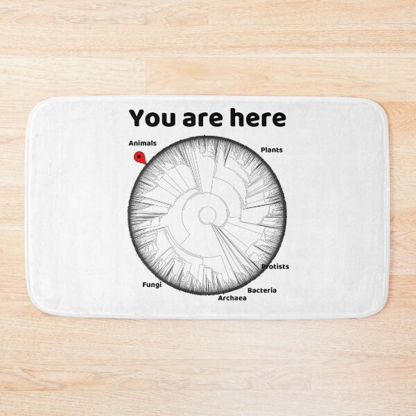 Item preview, Copy of You Are Here Phylogenetic Tree of Life Biology Graphic Black Text designed and sold by MathWare MathClips.
