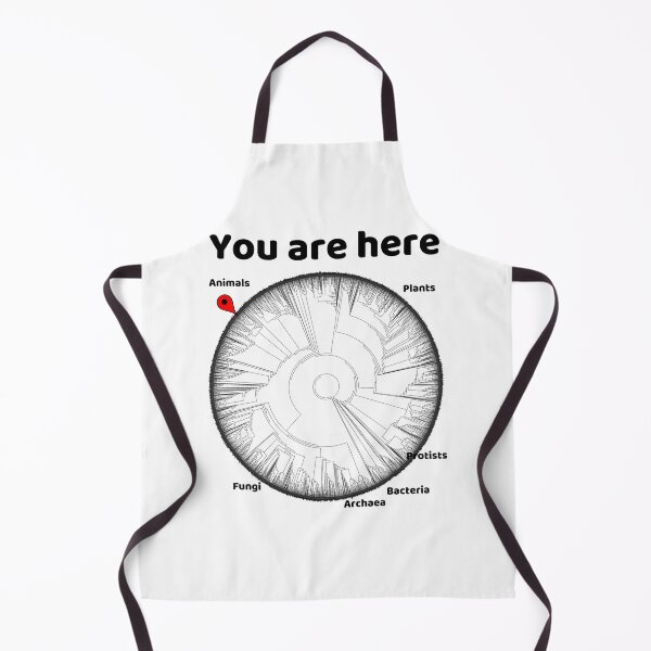 Item preview, Copy of You Are Here Phylogenetic Tree of Life Biology Graphic Black Text designed and sold by MathWare MathClips.