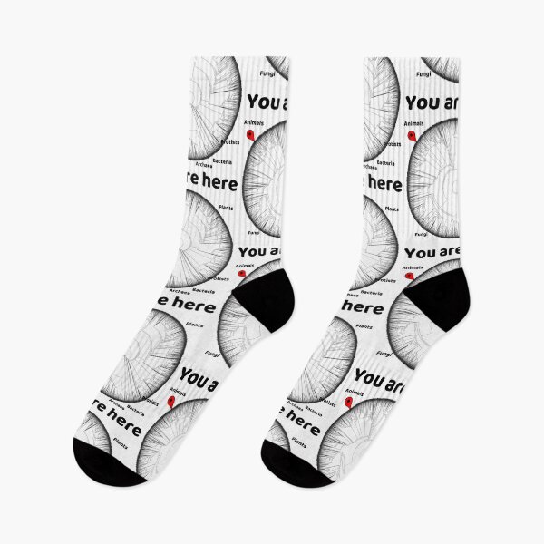 Item preview, Copy of You Are Here Phylogenetic Tree of Life Biology Graphic Black Text designed and sold by MathWare MathClips.