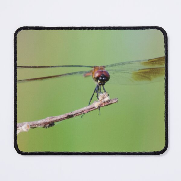 Item preview, Dagonfly3 designed and sold by WackAbstracts.