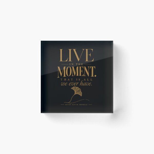 Item preview, John Muir Quote Walk With Nature Typography Print designed and sold by QCena.