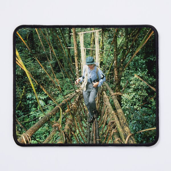 Item preview, Vine Bridge of Death: Papua New Guinea designed and sold by DEC02.