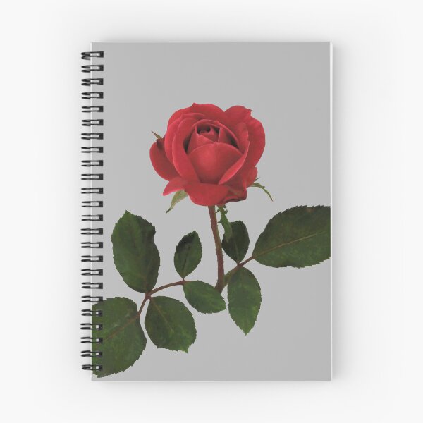 Item preview, Beautiful Red Rose with Green Leaves designed and sold by darksteel101.