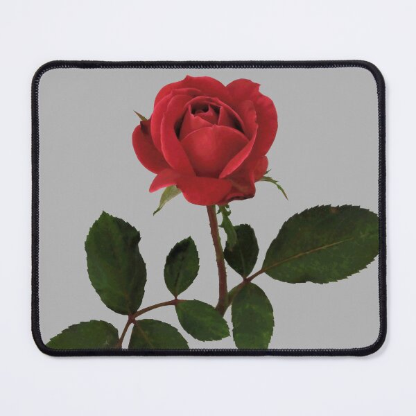 Item preview, Beautiful Red Rose with Green Leaves designed and sold by darksteel101.