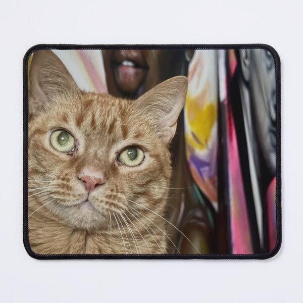 Item preview, Careers Club America cNeed Courage designed and sold by Gangcutegirl.