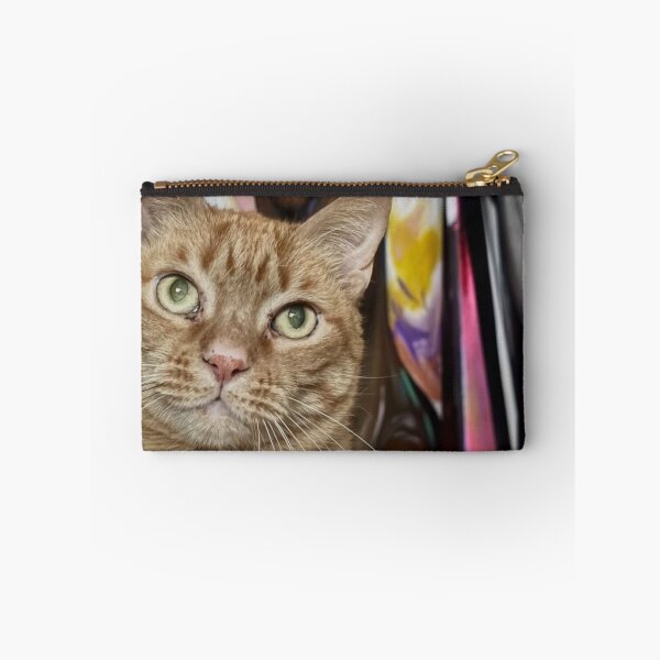Item preview, Careers Club America cNeed Courage designed and sold by Gangcutegirl.