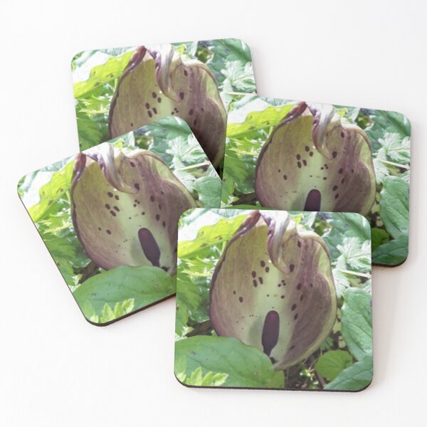 Item preview, Lord And Ladies designed and sold by amanda150771.
