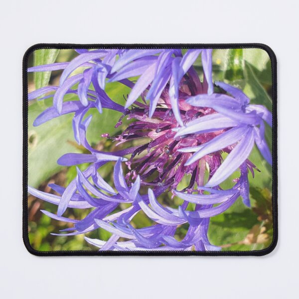 Item preview, Cornflower  designed and sold by amanda150771.