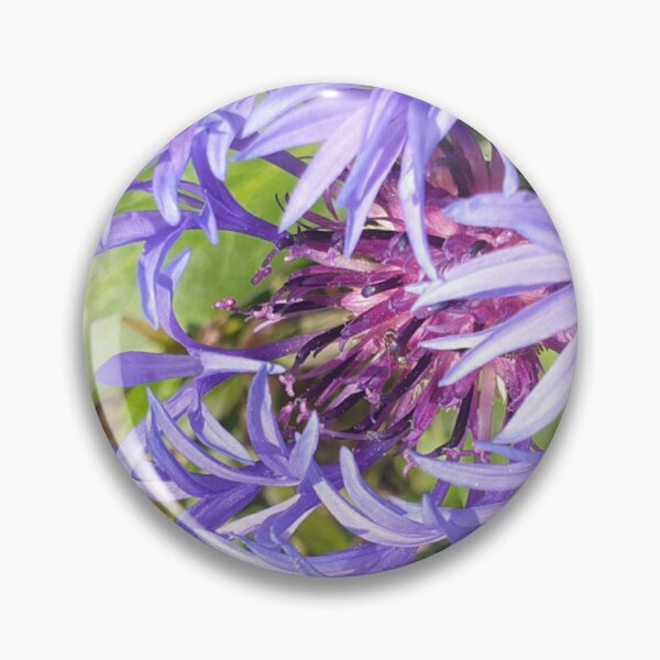 Item preview, Cornflower  designed and sold by amanda150771.
