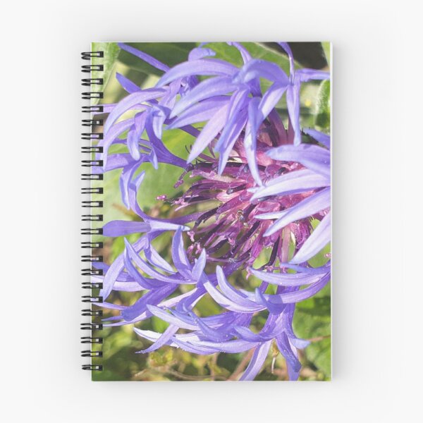 Item preview, Cornflower designed and sold by amanda150771.