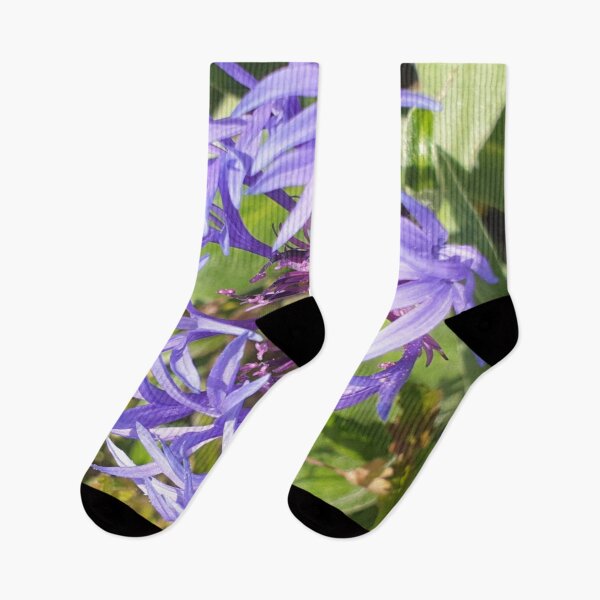 Item preview, Cornflower  designed and sold by amanda150771.