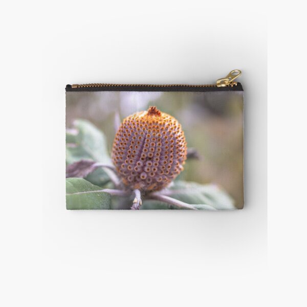 Item preview, Australian Native Flower Scarlet Banksia Bud – Fine Art Canvas Print designed and sold by MinzMarchStudio.