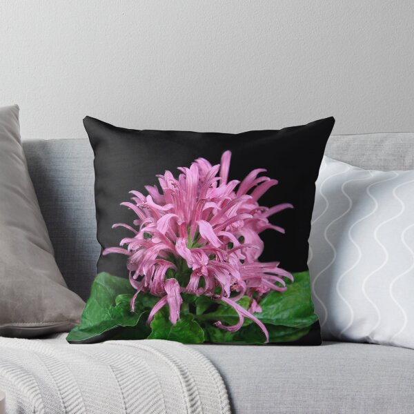 Item preview, Nature's Magnificent Creation designed and sold by heatherfriedman.