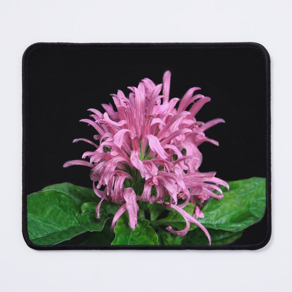 Item preview, Nature's Magnificent Creation designed and sold by heatherfriedman.