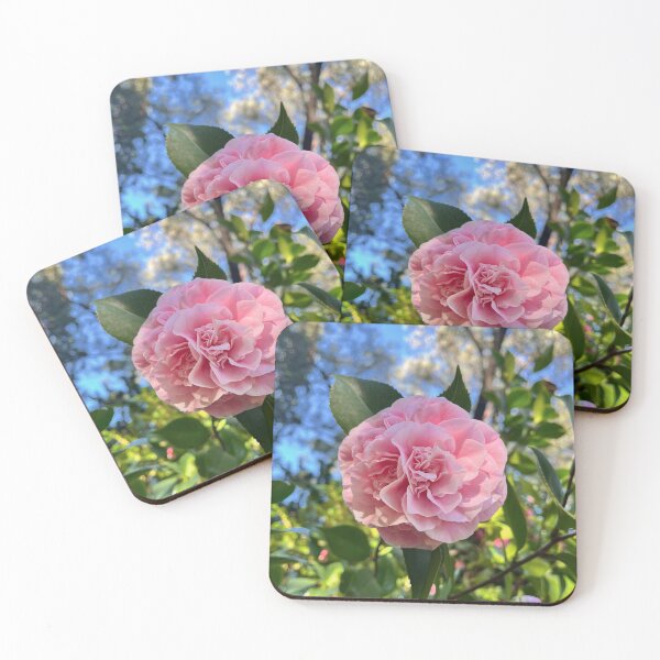 Item preview, Soft Pink Camellia in a Sunlit Garden designed and sold by Be Captured by Brittany Emma.