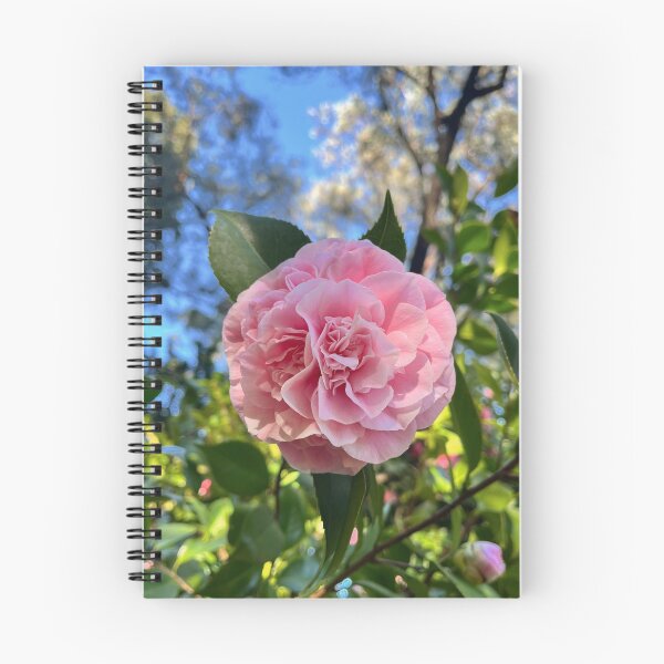 Item preview, Soft Pink Camellia in a Sunlit Garden designed and sold by Be Captured by Brittany Emma.