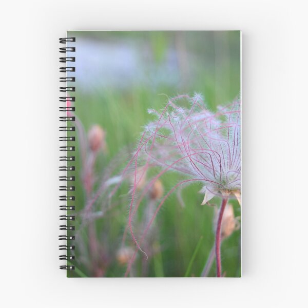 Item preview, Prairie Smoke designed and sold by heatherjphotography.