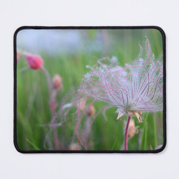 Item preview, Prairie Smoke designed and sold by heatherjphotography.