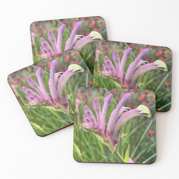Item preview, Purple Kangaroo Paw – Australian Native Flower designed and sold by Be Captured by Brittany Emma.
