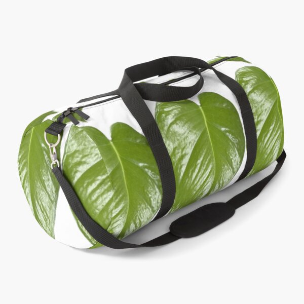 Item preview, Heart of earth, Heart shaped green devil ivy leaf Epipremnum aureum designed and sold by pipikijung.