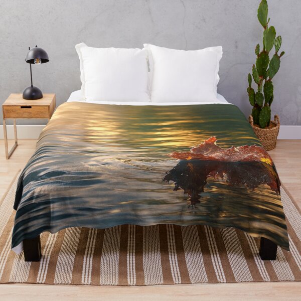 Item preview, Golden Drift – Autumn Leaf on Water designed and sold by Kimberly Palmer.