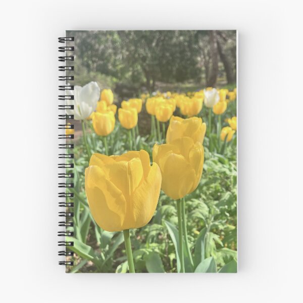 Item preview, Golden Yellow and White Tulips in the Garden designed and sold by Be Captured by Brittany Emma.