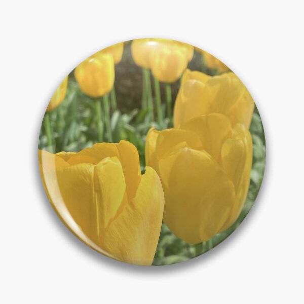 Item preview, Golden Yellow and White Tulips in the Garden designed and sold by Be Captured by Brittany Emma.