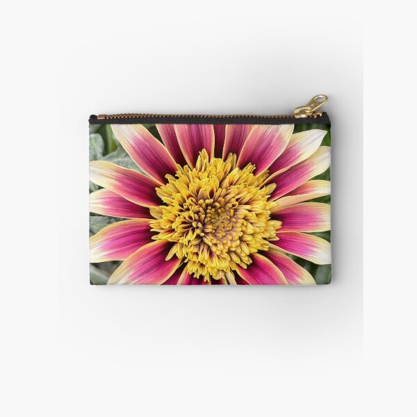 Item preview, Pink and Cream Gazania with a Golden Heart designed and sold by Be Captured by Brittany Emma.