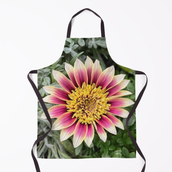 Item preview, Pink and Cream Gazania with a Golden Heart designed and sold by Be Captured by Brittany Emma.