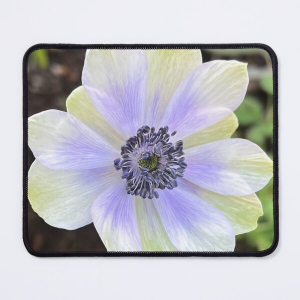 Item preview, Delicate Lavender and White Anemone designed and sold by Be Captured by Brittany Emma.