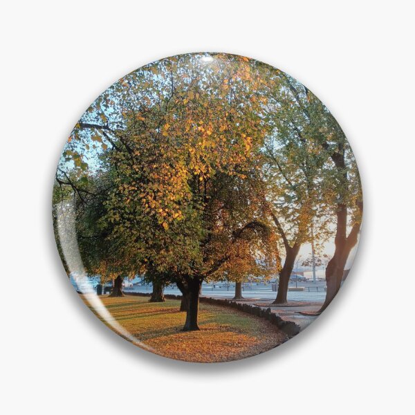 Item preview, Early morning at Parliament lawns, Hobart, Tasmania designed and sold by Kirsten Covington.