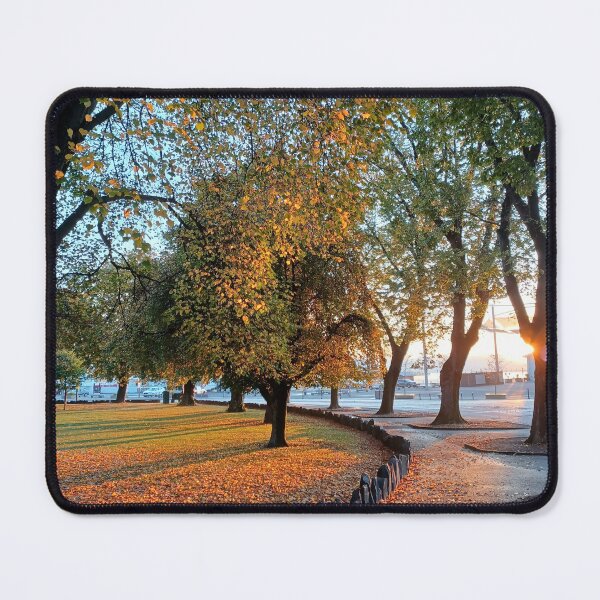 Item preview, Early morning at Parliament lawns, Hobart, Tasmania designed and sold by Kirsten Covington.