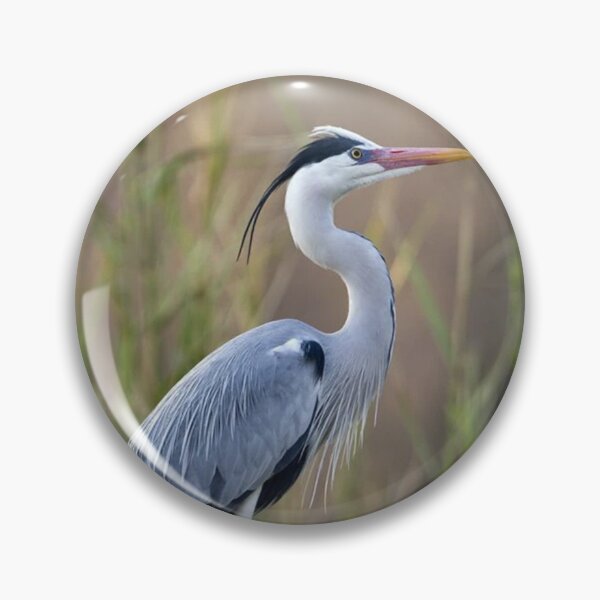 Item preview, Grey Heron Nature designed and sold by goombi-creative.