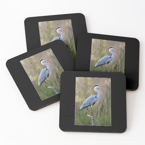 Item preview, Grey Heron Nature designed and sold by goombi-creative.