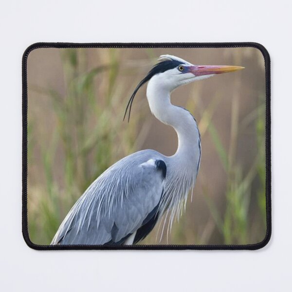 Item preview, Grey Heron Nature designed and sold by goombi-creative.