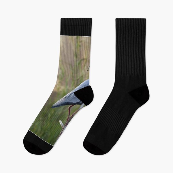 Item preview, Grey Heron Nature designed and sold by goombi-creative.