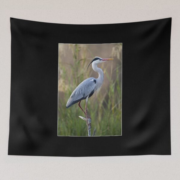 Item preview, Grey Heron Nature designed and sold by goombi-creative.