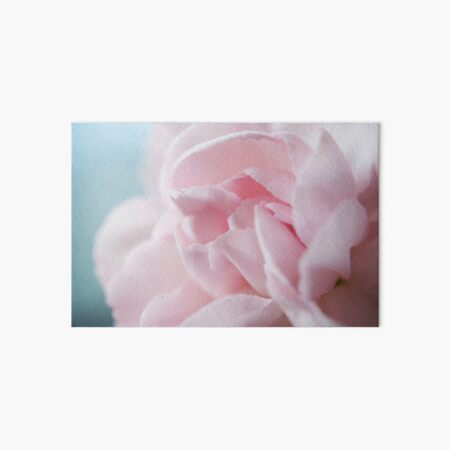 Pink Carnation Art Board Print