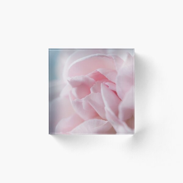 Pink Carnation Acrylic Block