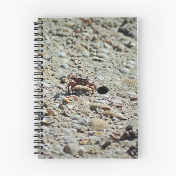 Item preview, Fiddler Crab designed and sold by Michiale.