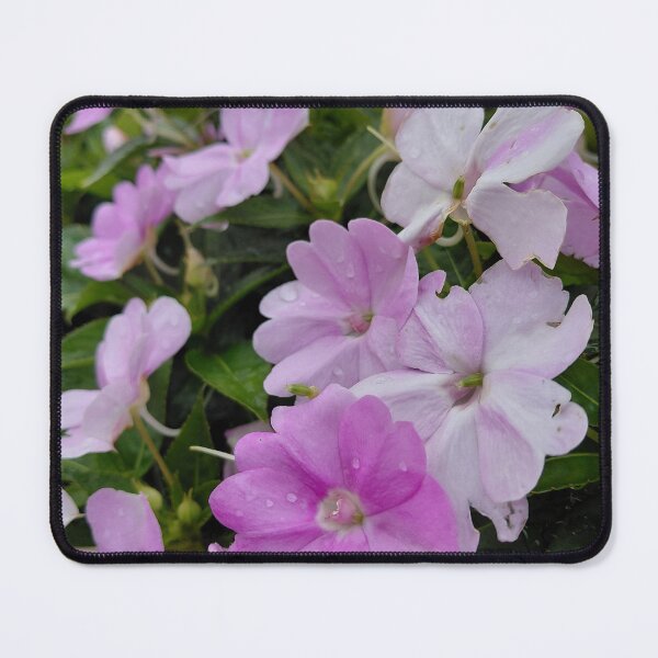 Item preview, Pink and white flowers in Hong Kong designed and sold by pbchan.